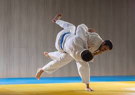 judo - Image 1